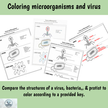 Preview of Coloring/Labeling Virus, Bacteria, Protist