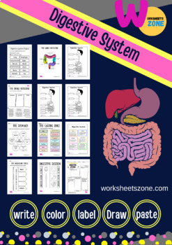 Preview of Coloring  and worksheets Digestive system+200 page distance learning 2022