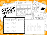 Colors and Shapes Curriculum Download. Preschool-Kindergarten.