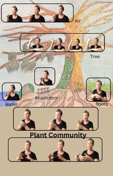 Preview of PAH! Plant community (biology) vocabulary handout in American Sign Language