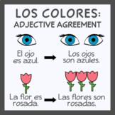 Colors in Spanish (Gender and Number Agreement)