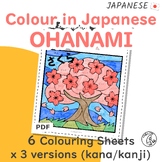 Colour in Japanese - Ohanami Sakura Cherry Blossom Colouri