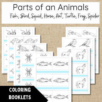 Preview of Colouring Booklets for Parts of an Animal