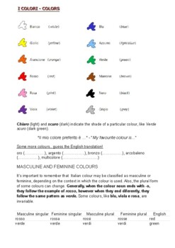 Preview of Colours in Italian / I colori in italiano