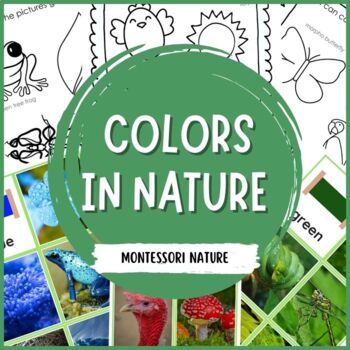 Preview of Colors in Nature Montessori Cards