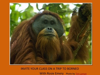 Preview of Come on a trip to Borneo!
