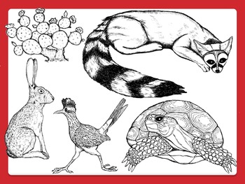 Comercial Clipart: Desert Animals and Plants in Black and White | TPT