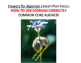 Comma Rules in Writing - Flowers for Algernon Lesson Plan, Activities, Handouts