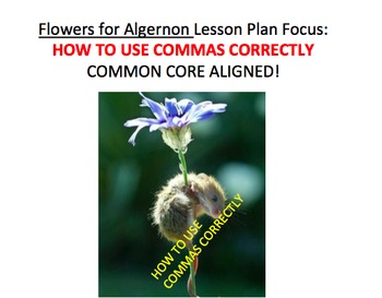 Preview of Comma Rules in Writing - Flowers for Algernon Lesson Plan, Activities, Handouts