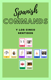 Commands in Spanish Flashcards y los 5 Sentidos