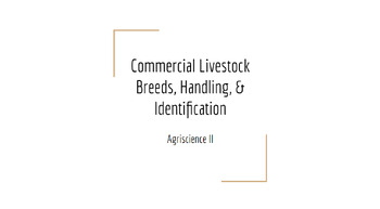 Preview of Commercial Livestock Breeds, ID Methods & Handling PPT