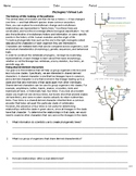 Common Ancestry Lizard Virtual Lab - HS-LS4-1