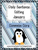 First Grade Sentence Editing: January