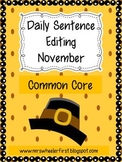 First Grade Sentence Editing: November
