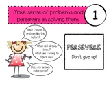 Common Core 8 Mathematical Practices Posters in Student-Fr