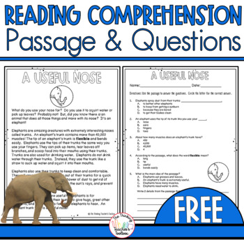 Preview of Reading Comprehension Passage and Questions