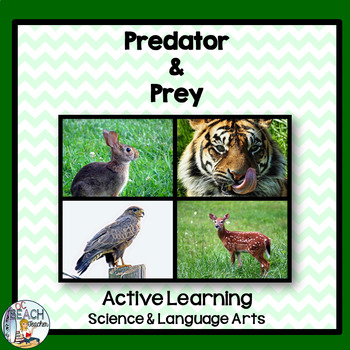 Science & Language Arts: Predator & Prey Game by OCBeachTeacher