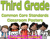 Common Core Third Grade Posters - Editable- (Melonheadz Edition)