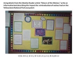 Common Core Writing Using Informational Text ~ Return of t