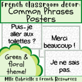 French Classroom Expressions Posters