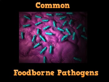 Preview of Common Foodborne Pathogens [Powerpoint, Video, Google Slide Lesson]