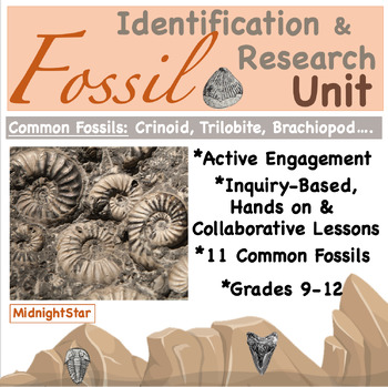 Preview of Fossil Identification and Research UNIT