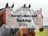 Common Horse Colors and Markings Level 1- For Beginners