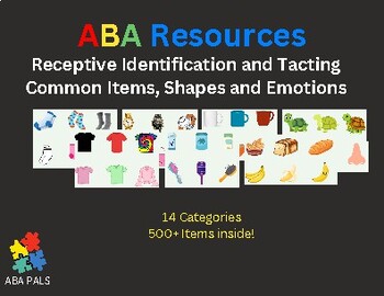 Preview of Common Items - ABA Stimulus Cards