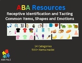 Common Items - ABA Stimulus Cards