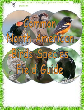 Common North American Bird Species Field Guide by PBL for Outdoor Education