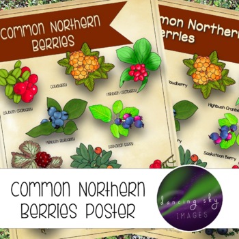 Preview of Common Northern Berries Poster
