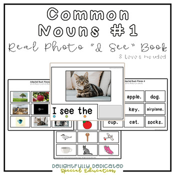 Preview of Common Nouns #1 Vocabulary Real Photo "I See" Adapted Book for Special Education