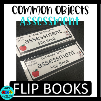 Preview of Common Nouns Assessment Flip Book