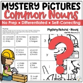 Common Nouns | Nouns Mystery Pictures Differentiated