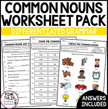 Preview of Common Nouns Worksheet Pack - No Prep Printables with Answers
