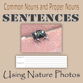 Preview of Common Nouns and Proper Nouns - Sentences Using Nature Photos