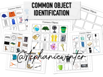 Preview of Common Object Identification - Flash Cards - ABA