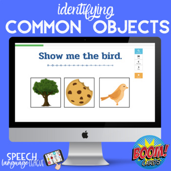 Preview of Common Objects | Illustrations | Speech Therapy | Basic Concepts | Labeling