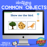 Common Objects | Illustrations | Speech Therapy | Basic Co