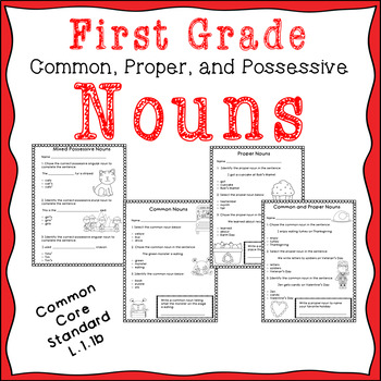 Preview of Common, Proper, and Possessive Nouns assessments-TPT Digital-Distance Learning