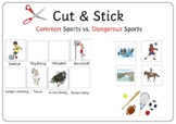 Common Sports vs. Dangerous Sports - Velcro Activity
