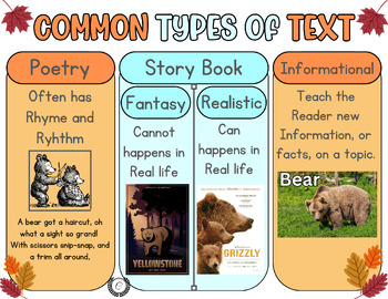 Preview of Common Types of Text