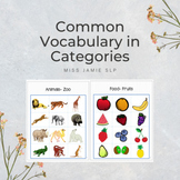 Common Vocabulary in Categories