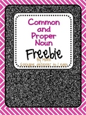 Common and Proper Noun Freebie