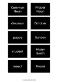 Common and Proper Nouns - Montessori sorting cards