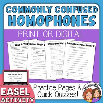 Preview of Homophones Commonly Confused ELA Grammar Worksheets Quizzes Activity Packet More