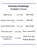 Commonly Used Greetings (Portuguese and Turkish)