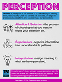 Communication Studies: Perception 3-Step Process