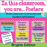 Community Building Mini Posters: In This Classroom {Bright