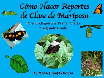 Preview of Cómo Hacer Reportes de Clase de Mariposa- Report Writing on Butterflies